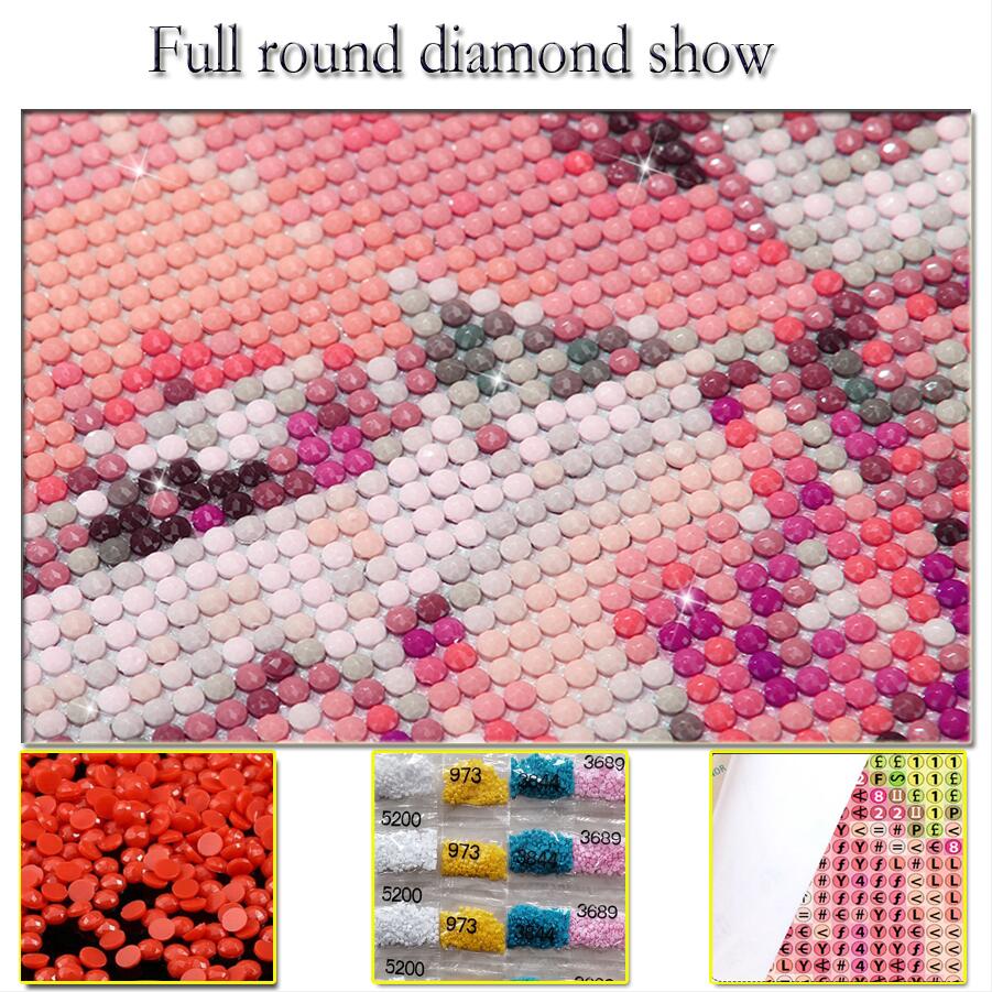 5D DIY Full Drill Diamond Embr - Resin Art Drill Machine recension och pris